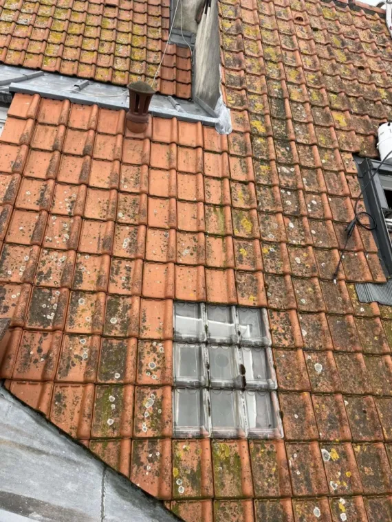 Ad renovation à effectuer une vérification de toiture, ainsi qu’une pose  de traitement anti mousse à charleville-Mézières, Reims, AD Rénovation